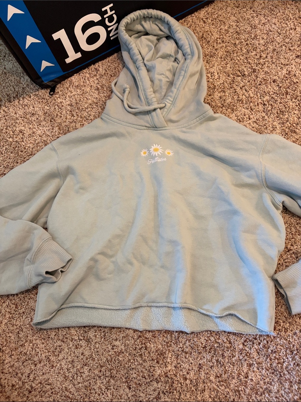Light Sage Daisy Embroidered Hoodie Sweatshirt - Women's cropped